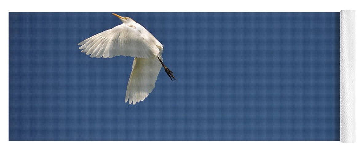 Wildlife Yoga Mat featuring the photograph 5- Cattle Egret by Joseph Keane