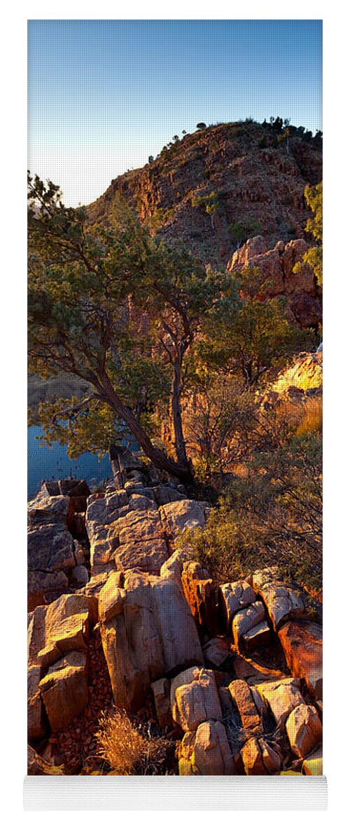 Glen Helen Gorge Outback Landscape Central Australia Water Hole Northern Territory Australian West Mcdonnell Ranges Yoga Mat featuring the photograph Glen Helen Gorge #5 by Bill Robinson