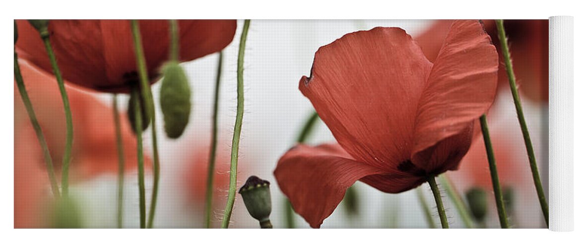 Poppy Yoga Mat featuring the photograph Red Poppy Flowers by Nailia Schwarz