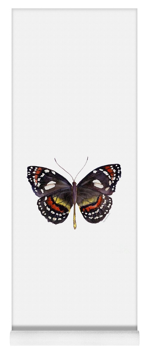 Elzunia Bonplandii Butterfly Yoga Mat featuring the painting 50 Elzunia Bonplandii Butterfly by Amy Kirkpatrick