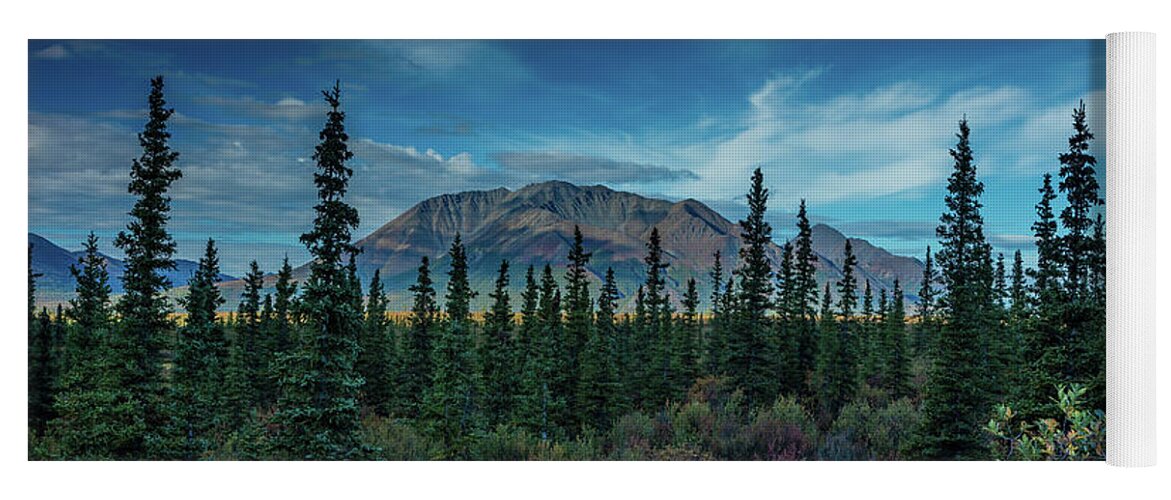 Photography Yoga Mat featuring the photograph Denali Highway, Route 8, Offers Views #6 by Panoramic Images