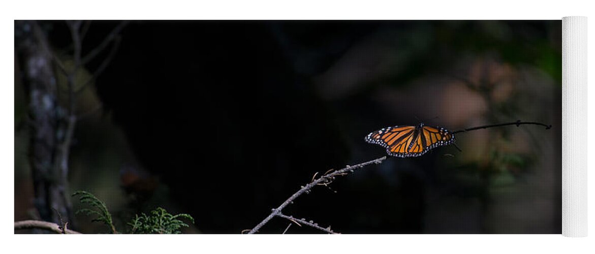 Animals Yoga Mat featuring the digital art Monarch Butterflies #6 by Carol Ailles