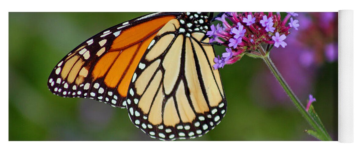 Monarch Yoga Mat featuring the photograph Monarch Butterfly in Garden #2 by Karen Adams