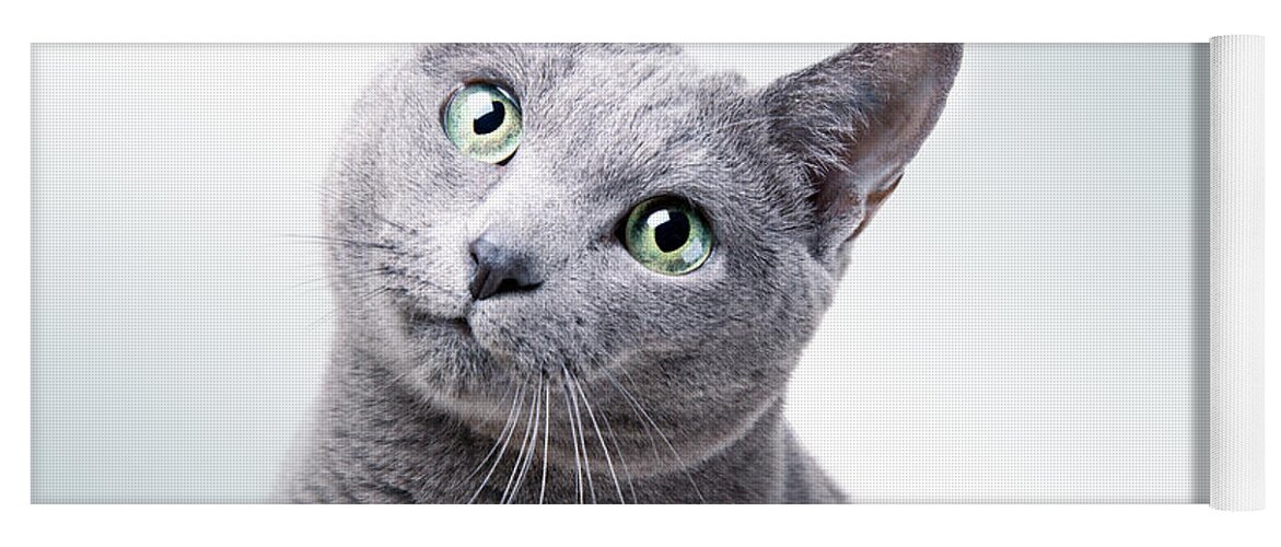 Cat Yoga Mat featuring the photograph Russian Blue Cat #6 by Nailia Schwarz