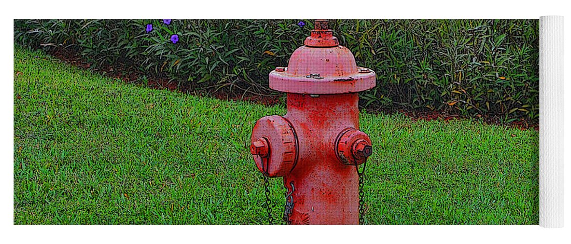 Fire Hydrant Yoga Mat featuring the photograph 62- Puppy Garden by Joseph Keane