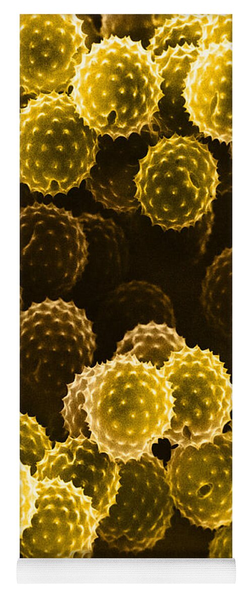 Allergen Yoga Mat featuring the photograph Ragweed Pollen Sem #7 by David M. Phillips / The Population Council