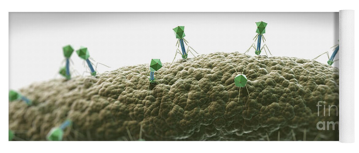 Ill Yoga Mat featuring the photograph Bacteriophages #8 by Science Picture Co