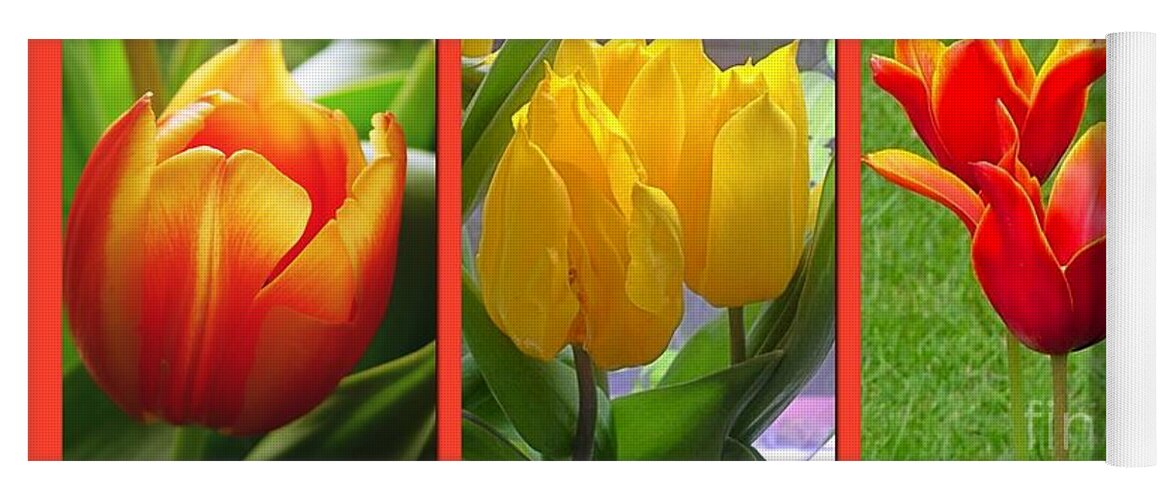 Tulips Yoga Mat featuring the photograph A Collage of Aspiring Tulips by Joan-Violet Stretch