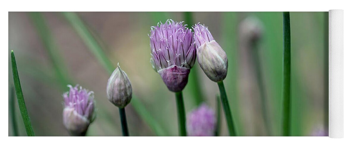 Chives Yoga Mat featuring the photograph A Culinary Necessity by Debbie Oppermann
