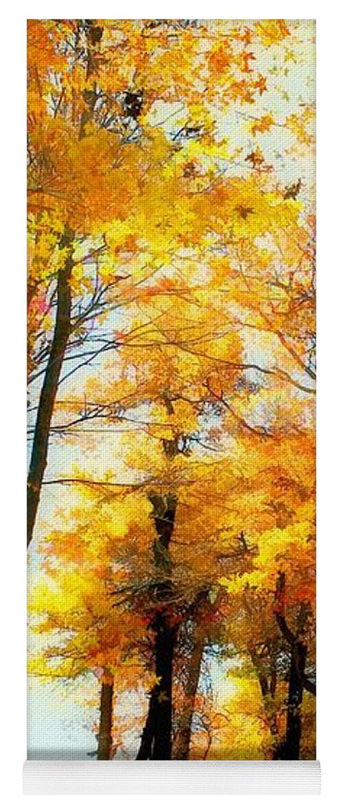 Autumn Leaves Yoga Mat featuring the photograph A Golden Day by Lois Bryan