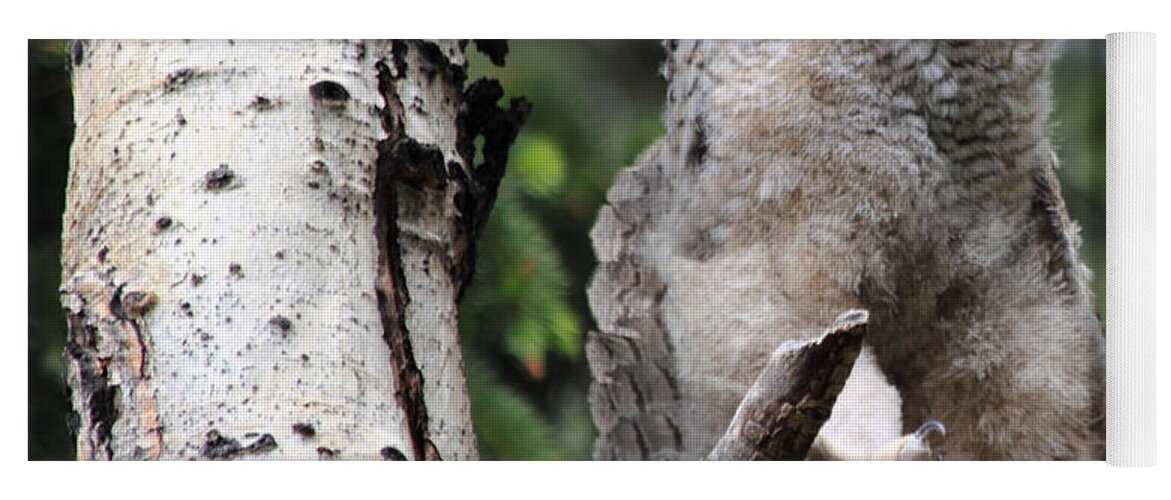 Great Horned Owl Yoga Mat featuring the photograph A good stretch by Shane Bechler