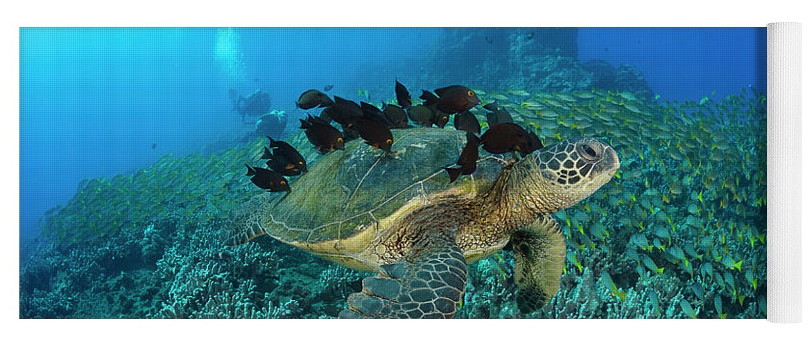 Diving Yoga Mat featuring the photograph A Green Sea Turtlec Chelonia Mydas by Dave Fleetham