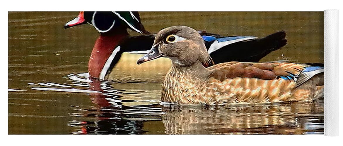 Waterfowl Yoga Mat featuring the photograph A Handsome Pair by Dale Kauzlaric
