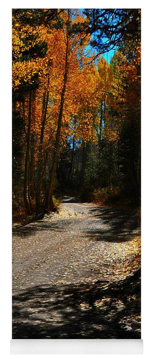 Roads Yoga Mat featuring the photograph A Leisure Drive by Lynn Bawden