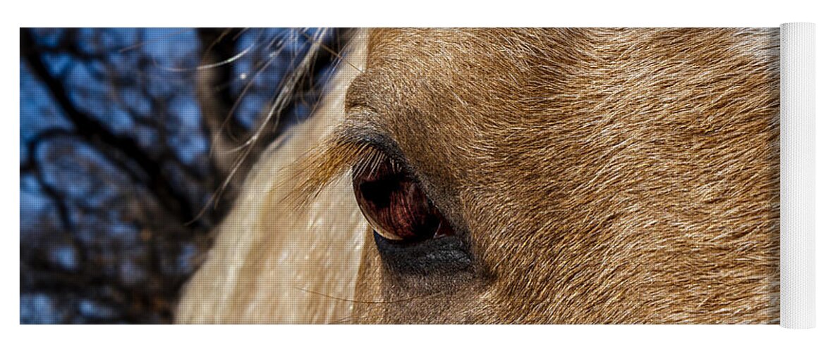 Afternoon Yoga Mat featuring the photograph A Palomino's Eye. by Doug Long
