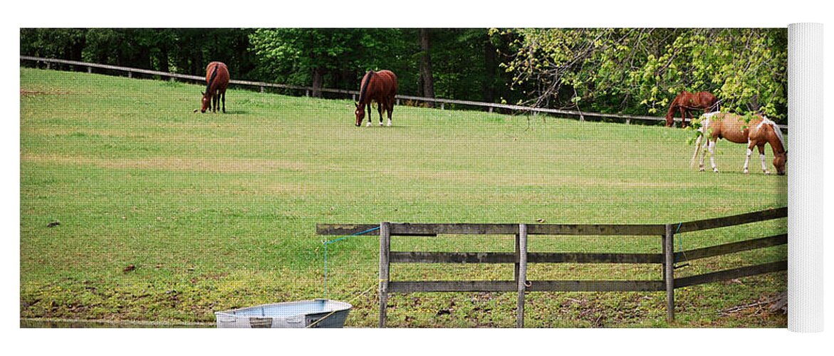 Popular Yoga Mat featuring the photograph A Perfect Day - Buckhorn Farm by Paulette B Wright