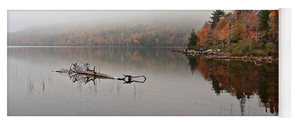 Acadia National Park Yoga Mat featuring the photograph Acadia in the Fog by Karin Pinkham