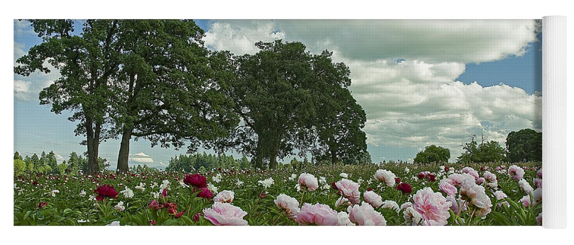 Pacific Yoga Mat featuring the photograph Adleman's Peony Fields by Nick Boren