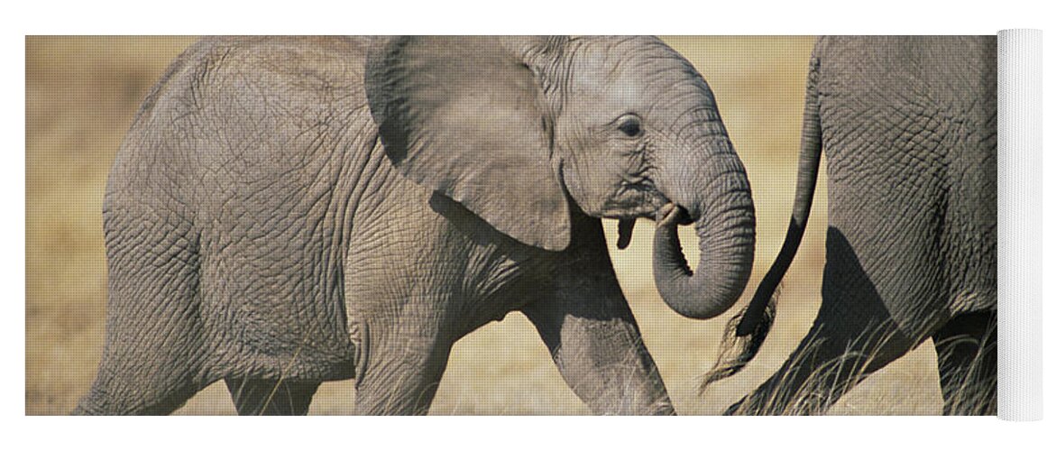 Feb0514 Yoga Mat featuring the photograph African Elephant Baby And Mother by Gerry Ellis