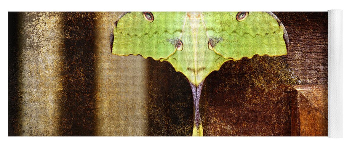 Butterfly Yoga Mat featuring the photograph African Moon Moth 2 by Andee Design