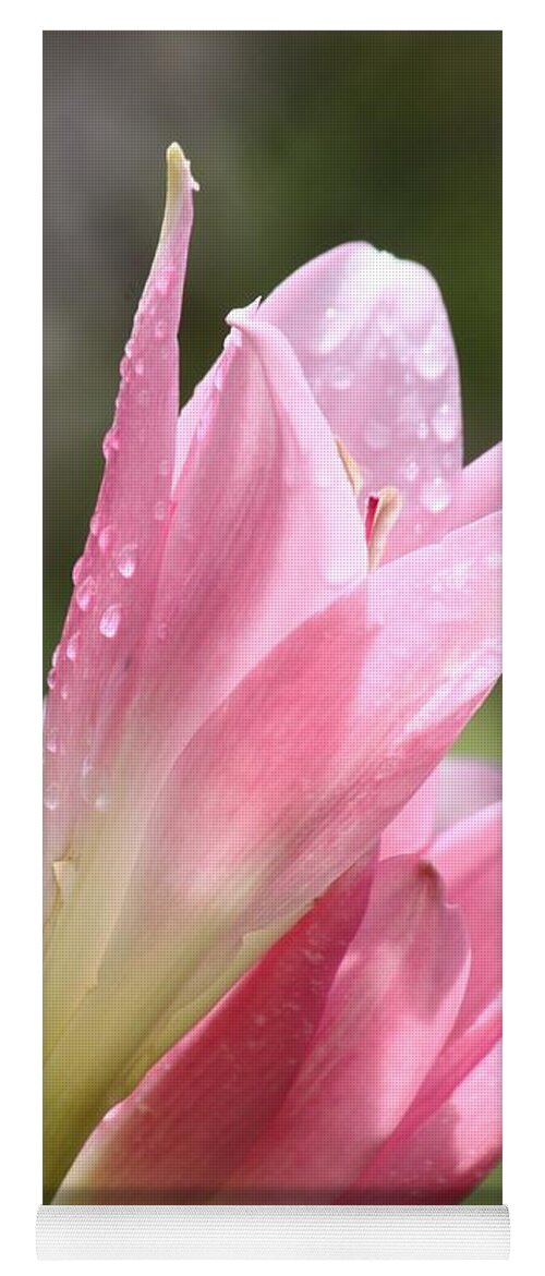 Flower Photography Yoga Mat featuring the photograph After The Rain by Amy Gallagher