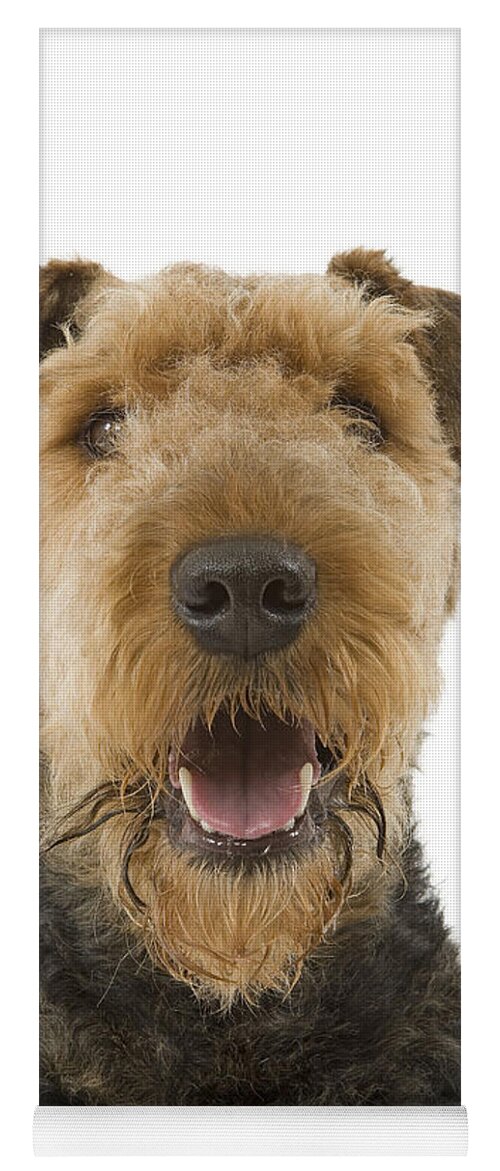 Dog Yoga Mat featuring the photograph Airedale Terrier by Jean-Michel Labat