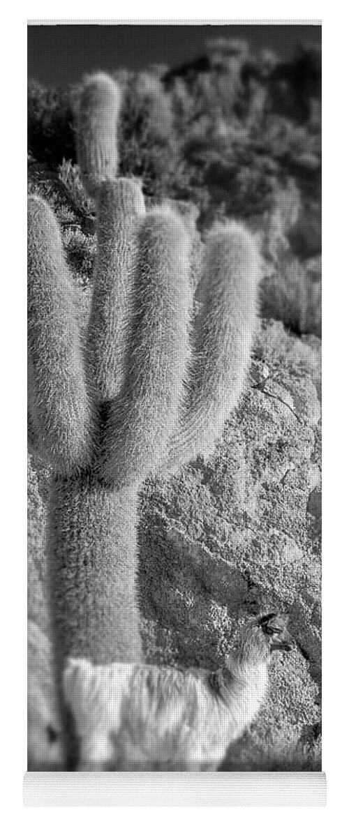 Lama Yoga Mat featuring the photograph Alpaca Incahuasi Island Black And White Select Focus by For Ninety One Days