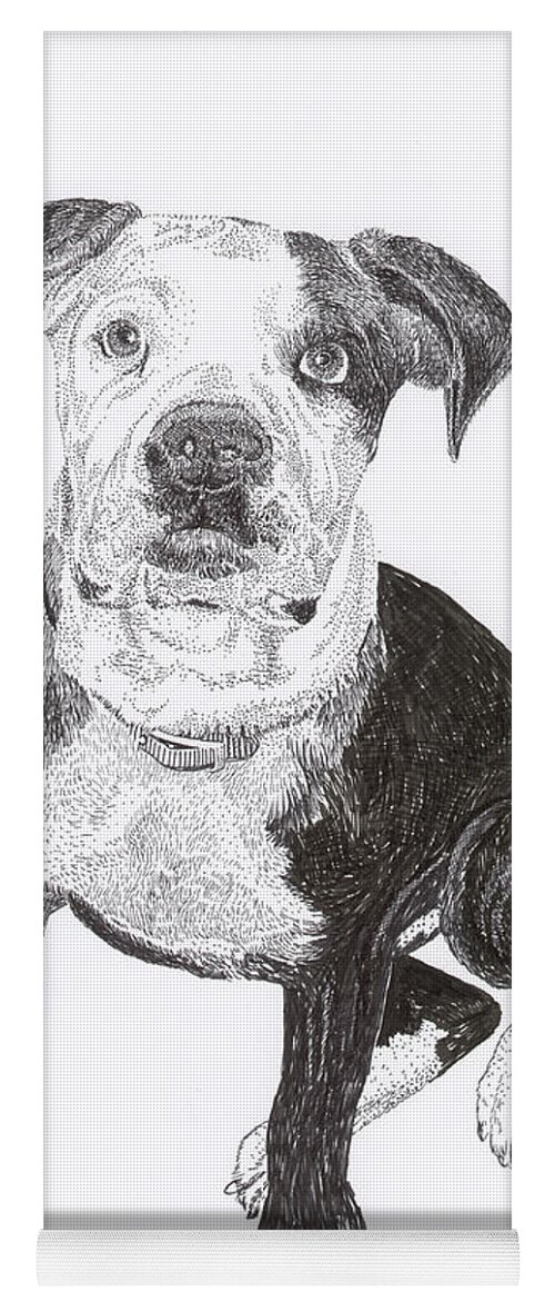 Bull Dog Puppies Yoga Mat featuring the drawing American Bull Dog as a PUP by Jack Pumphrey