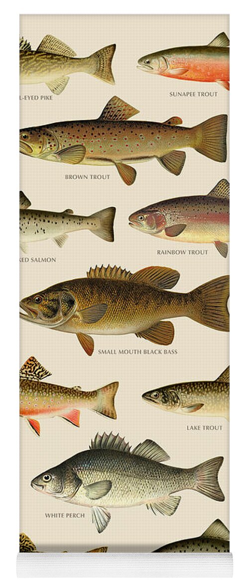 #faatoppicks Yoga Mat featuring the painting American Game Fish by Gary Grayson