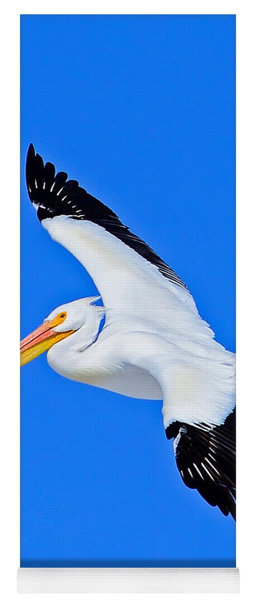 American White Pelican Yoga Mat featuring the photograph American White Pelican Greeting Card by Greg Norrell