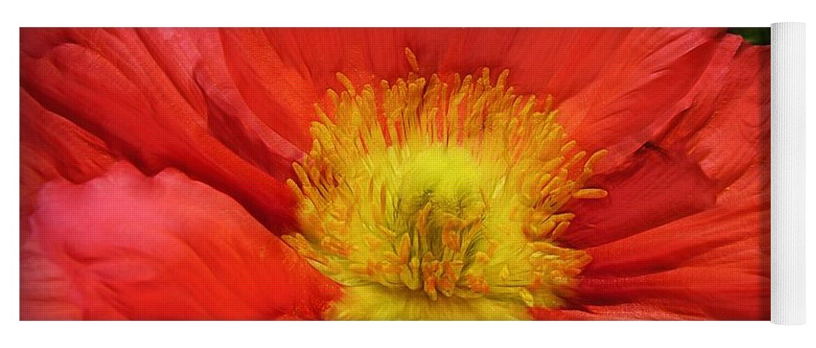 Flowers Yoga Mat featuring the photograph Ancient Flower 4 - poppy by Lilia S