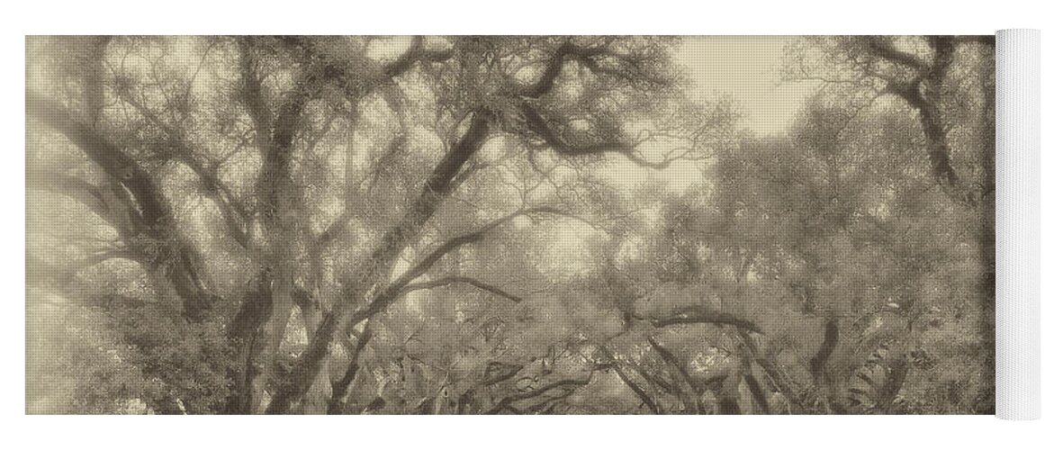 Oak Alley Plantation Yoga Mat featuring the photograph And Time Stood Still sepia by Steve Harrington