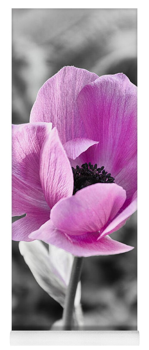 Anemone Yoga Mat featuring the photograph Anemone by Georgette Grossman