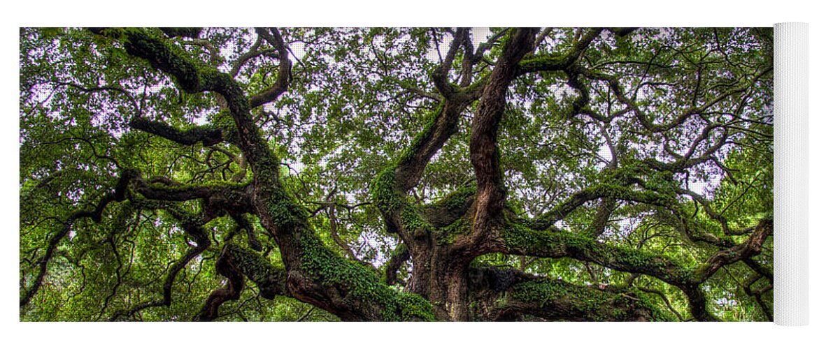 Tree Yoga Mat featuring the photograph Angel Oak Tree by Douglas Stucky
