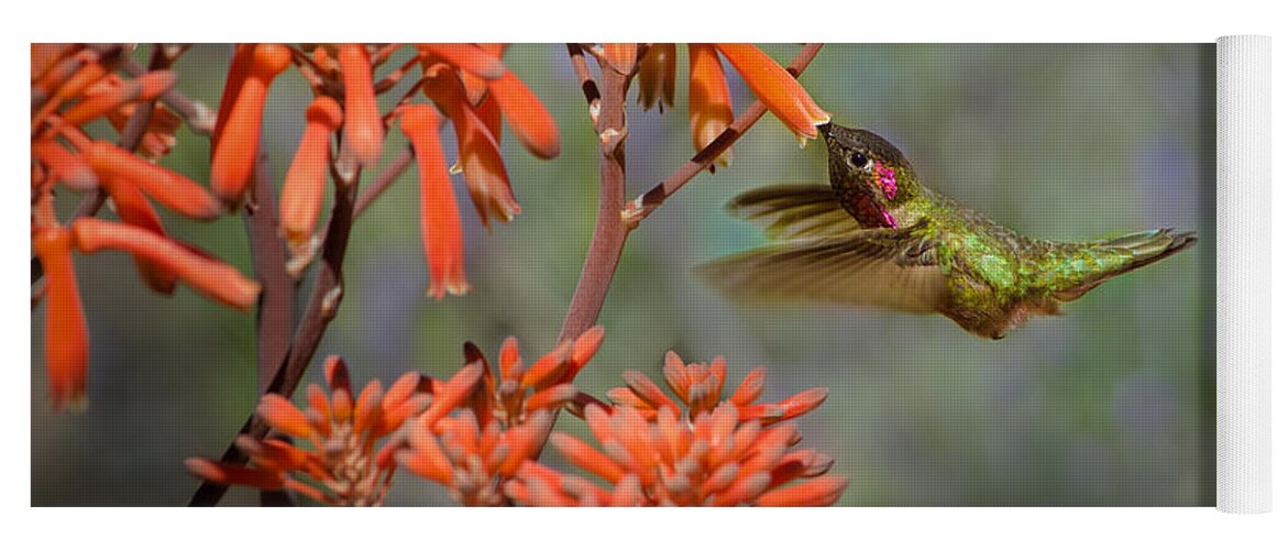 Hummingbird Yoga Mat featuring the photograph Anna's Hummingbird by Linda Villers