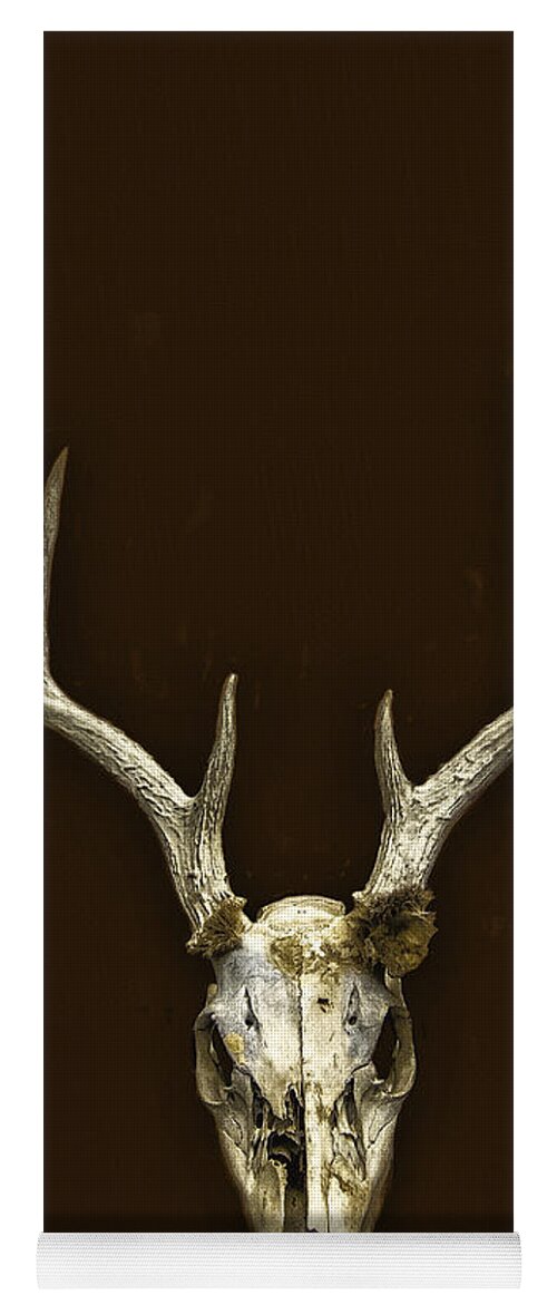 Skull Yoga Mat featuring the photograph Antlers by Margie Hurwich
