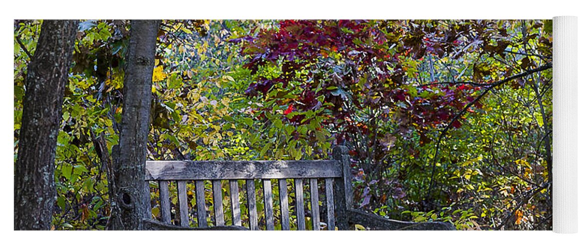 Arboretum Yoga Mat featuring the photograph Arboretum bench by Steven Ralser