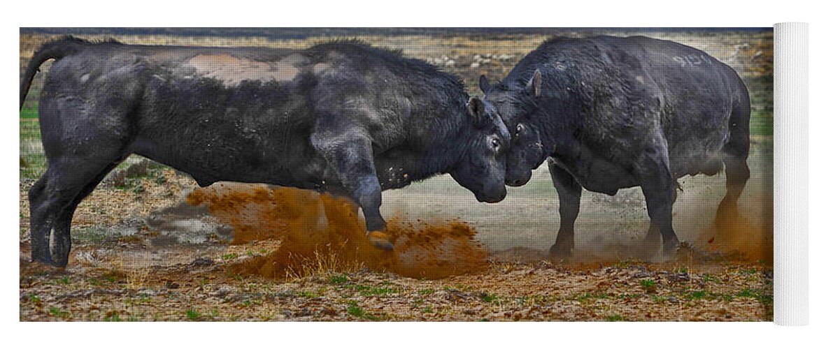 Bulls Yoga Mat featuring the photograph As Real As It Gets by Amanda Smith