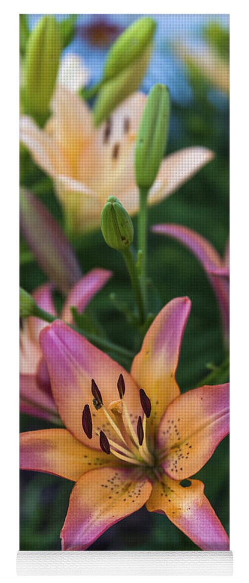 Mark Papke Yoga Mat featuring the photograph Asiatic Lillies by Mark Papke