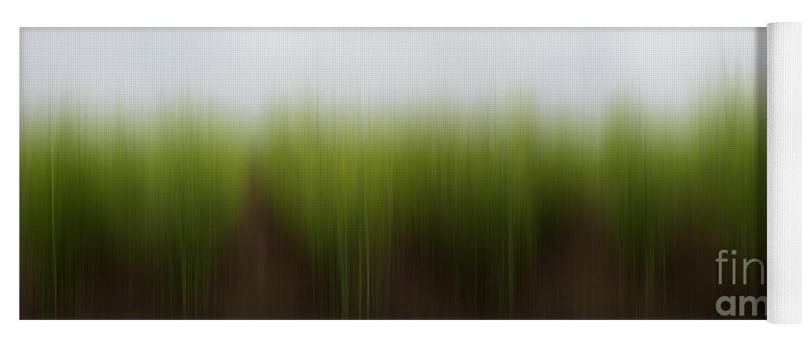 Abstract Yoga Mat featuring the photograph Asparagus Dreams by Barbara McMahon