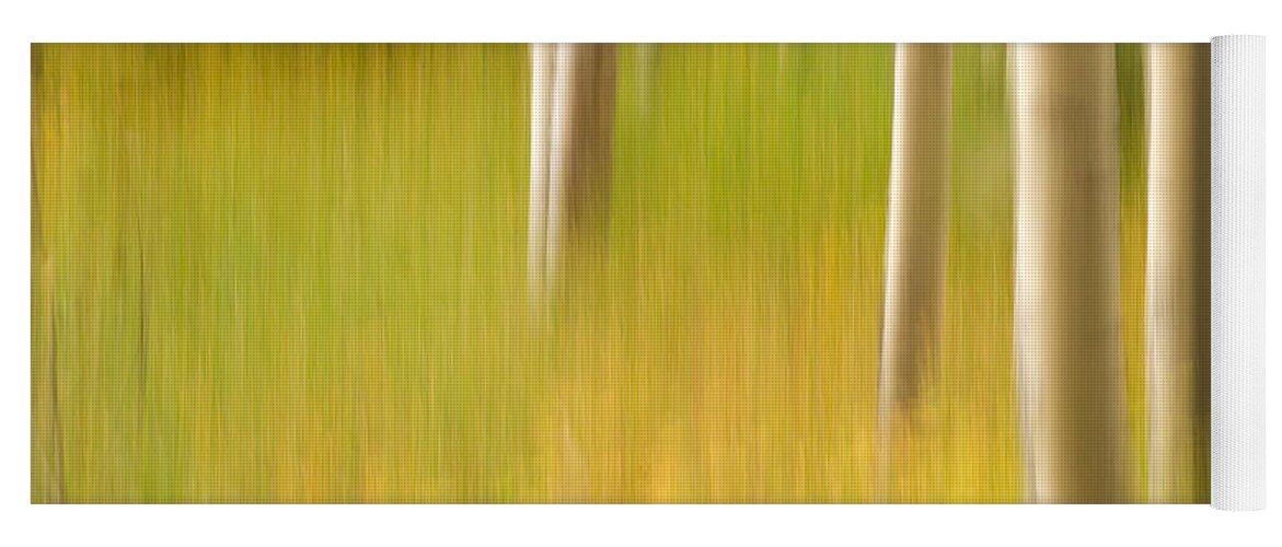 Aspen Yoga Mat featuring the photograph Aspen Abstract by Ronda Kimbrow