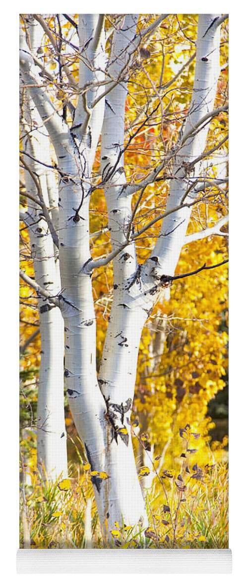 Utah Yoga Mat featuring the photograph Aspens in fall by David Millenheft