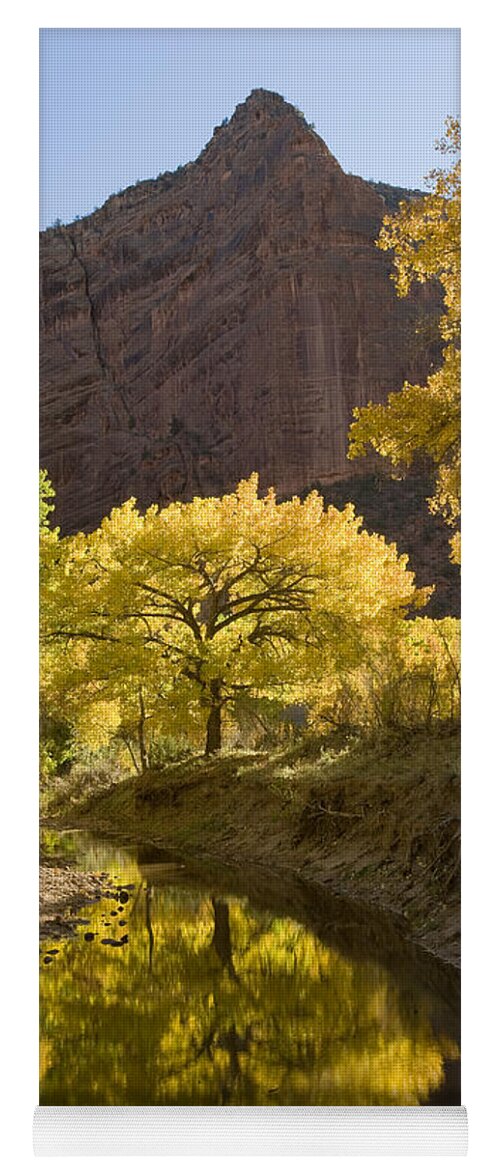 Feb0514 Yoga Mat featuring the photograph Autumn Canyon De Chelly by Tom Vezo