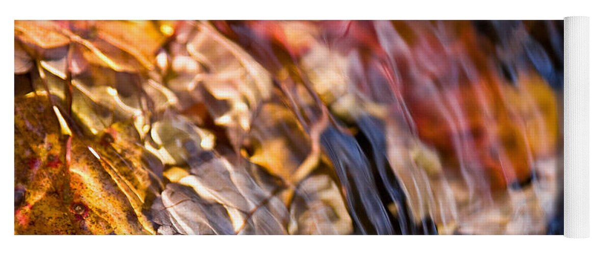 Fall Leaves Yoga Mat featuring the photograph Autumn Color Beneath the Surface by John Magyar Photography