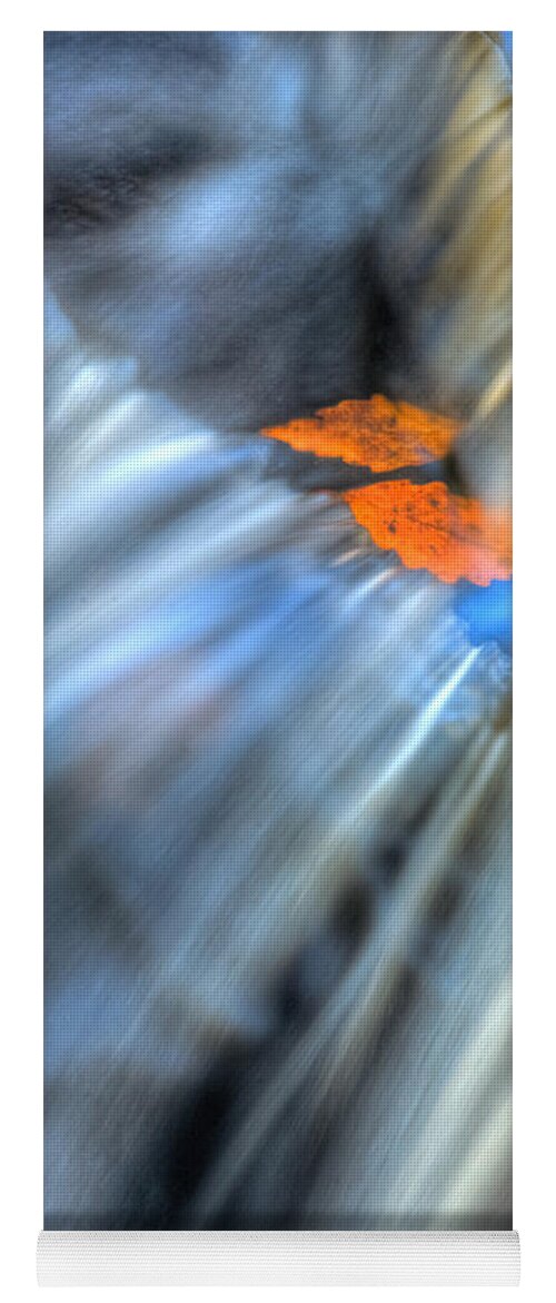 Fall Leaves Yoga Mat featuring the photograph Autumn Color Caught in Time by John Magyar Photography