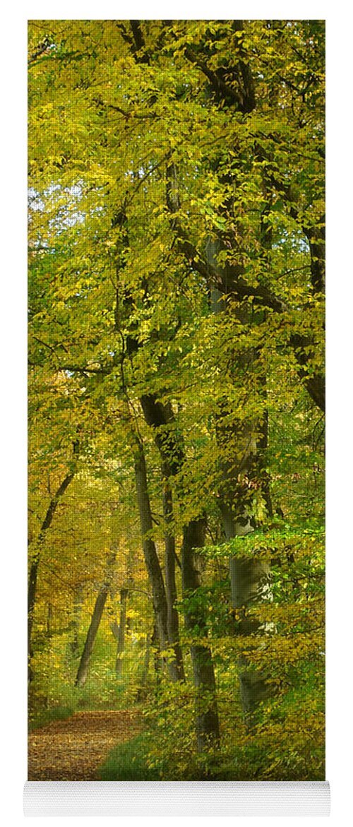 Nature Yoga Mat featuring the photograph Autumn Colors 22 by Rudi Prott