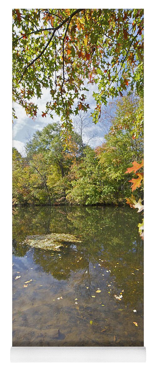 Autumn Yoga Mat featuring the photograph Autumn Colors on the Delaware and Raritan Canal by David Letts