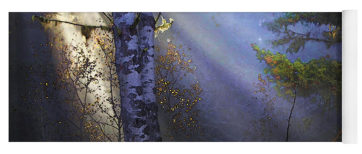 Fantasy Forest Yoga Mat featuring the photograph Autumn Fog With Sun Rays by Theresa Tahara