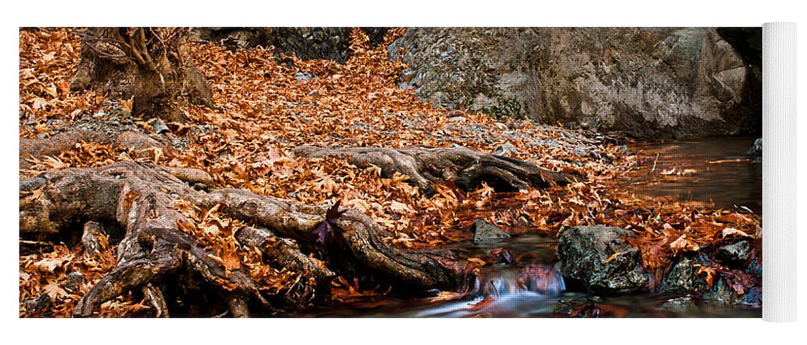Autumn Yoga Mat featuring the photograph Autumn landscape by Michalakis Ppalis