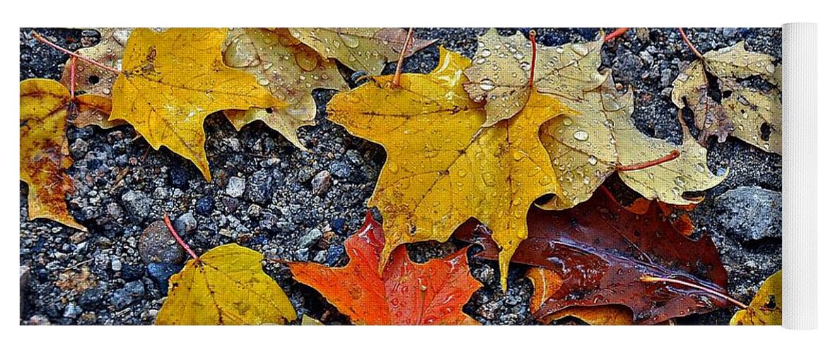 Autumn Yoga Mat featuring the photograph Autumn Leaves in Rain by Phyllis Meinke